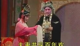 淮剧《半夜夫妻》选段在线观看洞房花烛为何成虚假背后的凄美故事 淮剧《半夜夫妻》选段在线观看洞房花烛为何成虚假背后的凄美故事