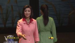 黄梅戏《鸭儿嫂》选段MP4视频下载 余淑华演唱 乡村脱贫题材戏曲资源