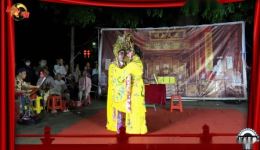 杨梅争宠
