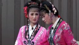 吕剧《姊妹易嫁》劝嫁全集下载｜彭莉媛等主演经典聊斋改编戏曲资源