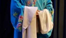 丑梧桐娶媳妇