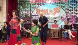 潮剧《金花女南山送饭》高清正版演出资源下载，巫艳君王泽兰方健生实力演绎下载