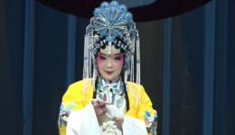 评剧《打金枝》选段下载吴月婵演唱戏曲视频mp4资源，经典名段在线获取下载