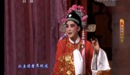 女附马