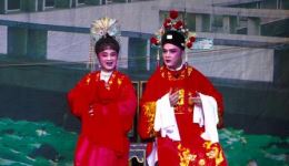 琼剧《刁蛮公主》选段“洞房两不让”在线观看下载，经典戏曲资源免费获取