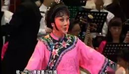 豫剧《红菊十祝福》魏俊英演唱选段下载，经典戏曲视频mp4资源下载