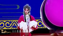 京剧《诗文会》万晓慧精彩演绎，经典诗文招亲佳话在线下载下载