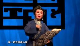 锡剧《赵氏孤儿·舍子》高清片段下载，王子瑜屈晔哲主演，经典忠义大戏在线获取