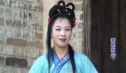 蔡郎别店后传
