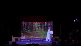 高甲戏《正德平南》全场高清下载 - 晋江市联艺高甲戏剧团正版演出资源 高甲戏《正德平南》全场高清下载 - 晋江市联艺高甲戏剧团正版演出资源