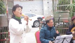 赣南采茶戏《斑鸠调》高清戏曲视频mp4下载，经典非遗唱段资源下载