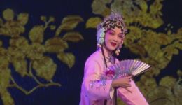 汉剧《花灯案观灯》高清正版资源下载｜管乐莹邓振鹏主演经典戏曲全场下载