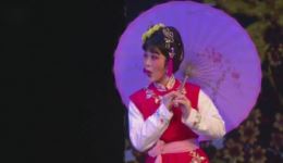 潮剧《桃花过渡》陈鸿飞、欧彩纯演唱戏曲视频mp4下载，经典折子戏资源一键获取下载