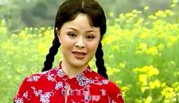 黄梅戏《天女散花》李文演唱经典唱段mp4视频下载-高清戏曲资源 黄梅戏《天女散花》李文演唱经典唱段mp4视频下载-高清戏曲资源