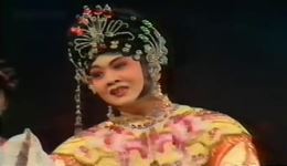 飞龙女