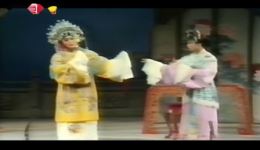 飞龙女