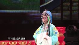 扬剧《玉蜻蜓》探病得子完整版下载,乔元珍张丽萍经典演绎 扬剧《玉蜻蜓》探病得子完整版下载,乔元珍张丽萍经典演绎