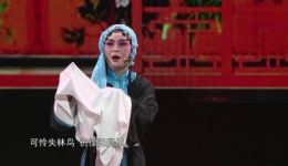 扬剧《秦香莲》闯宫选段杨桂兰周正春精彩演绎,经典戏曲在线观看下载 扬剧《秦香莲》闯宫选段杨桂兰周正春精彩演绎,经典戏曲在线观看下载