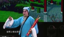 扬剧《珍珠塔·园会》吴桂鹏朱敏叶春君主演，经典片段在线下载下载