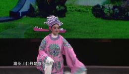孟丽君
