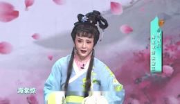 陶慧敏越剧《红楼梦》选段在线下载，经典唱腔演绎宝黛爱情悲剧