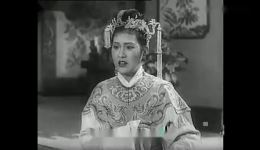 打金枝