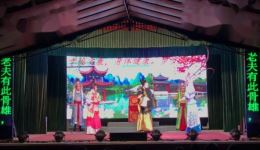 厦门市高甲戏剧团《宋宫风云》高甲戏演出资源下载，经典宫廷大戏在线获取