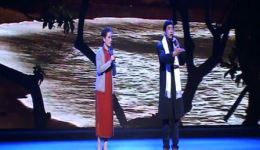 黄梅戏《风尘女画家》选段“海滩别”下载，刘同甲金桂兰精彩演绎下载