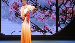 黄梅戏《小辞店》选段资源，査治平精彩演绎，经典戏曲片段下载下载