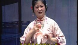 沪剧《大雷雨》戏曲视频mp4下载，程臻朱俭茅善玉赵志刚经典演绎下载