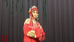 楚剧《抬花轿》选段下载，李敏慧摘花调精彩演绎，正宗楚剧资源速取
