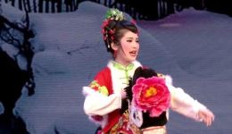 夫妻串门