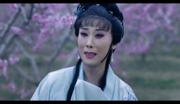 豫剧《红楼梦》黛玉葬花片段下载,经典戏曲选段,感受凄美爱情与生命哲思 豫剧《红楼梦》黛玉葬花片段下载,经典戏曲选段,感受凄美爱情与生命哲思