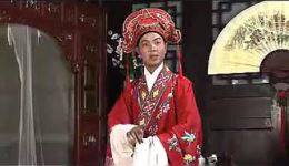 赣南采茶戏《四郎服药》上集mp4视频下载,经典戏曲资源在线观看 赣南采茶戏《四郎服药》上集mp4视频下载,经典戏曲资源在线观看