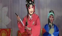 川剧弹戏《拷红》高清完整版下载 - 杨莲王素怡主演经典剧目资源下载