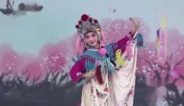 徐滢张雷京剧《小放牛》片断在线观看，青春戏苑精彩呈现下载