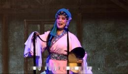 锡剧《青丝泪·深情》字幕版下载，姜丽等主演，经典明朝冤案故事全剧资源下载
