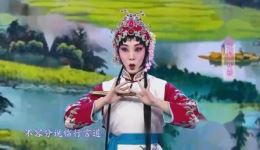 桃花村