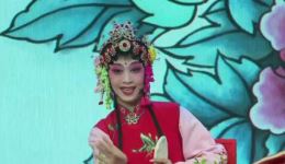 婺剧《花田错》张含慧演唱戏曲视频mp4下载-高清婺剧资源在线观看 婺剧《花田错》张含慧演唱戏曲视频mp4下载-高清婺剧资源在线观看