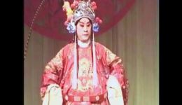 盗书打盖