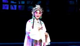 河北梆子《双错遗恨》片段下载 - 邢少燕计晨精彩演绎传统名剧下载