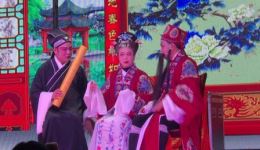 宁都采茶戏《珍珠塔道情》MP4视频下载,经典戏曲资源免费获取 宁都采茶戏《珍珠塔道情》MP4视频下载,经典戏曲资源免费获取