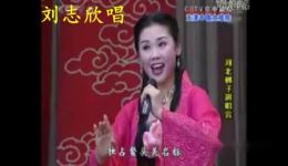 河北梆子经典《陈三两》专辑张惠云、田春鸟精彩演绎，传统剧目完整呈现
