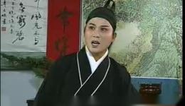 庐剧《蛤蟆招亲》04集高清下载 单小侉夏巧云主演 安徽地方戏曲经典剧目下载