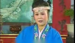 庐剧《蛤蟆招亲》02集免费观看下载 单小侉夏巧云主演神话剧下载