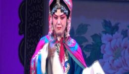 河北梆子《赵氏孤》上集高清下载 王艳武主演经典戏曲资源 河北梆子《赵氏孤》上集高清下载 王艳武主演经典戏曲资源