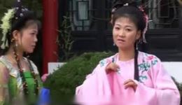 庐剧《父霸子妻》03集高清mp4视频下载 王小五昂小红主演家庭伦理大戏下载