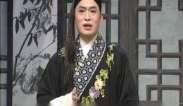 庐剧《小辞店》刘长芬周小五主演，经典爱情悲剧在线下载，感受传统戏曲魅力下载