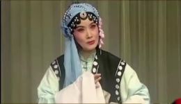 评雪辨踪