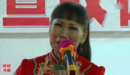 河南坠子《拉荆笆》胡中花字幕合并剪辑版下载 - 经典戏曲资源